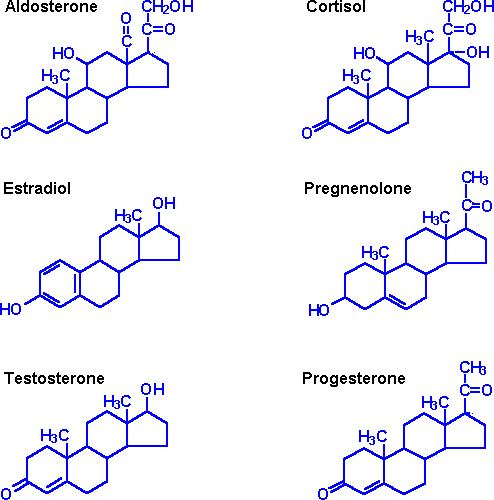 Steroid_hormones