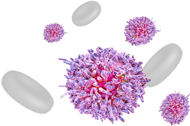 آزمایشگاه چکاپ 19 آزمایشگاه چکاپ