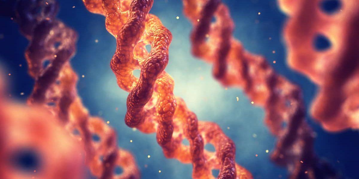 Collagen-Helix-Structure (1)