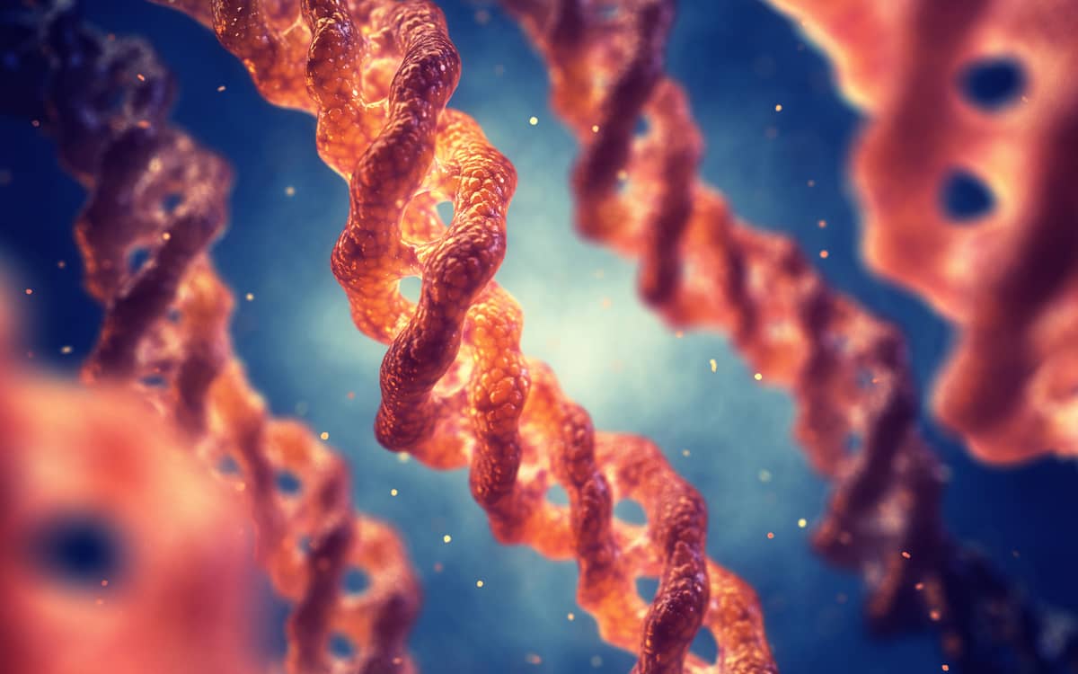 آزمایشگاه چکاپ