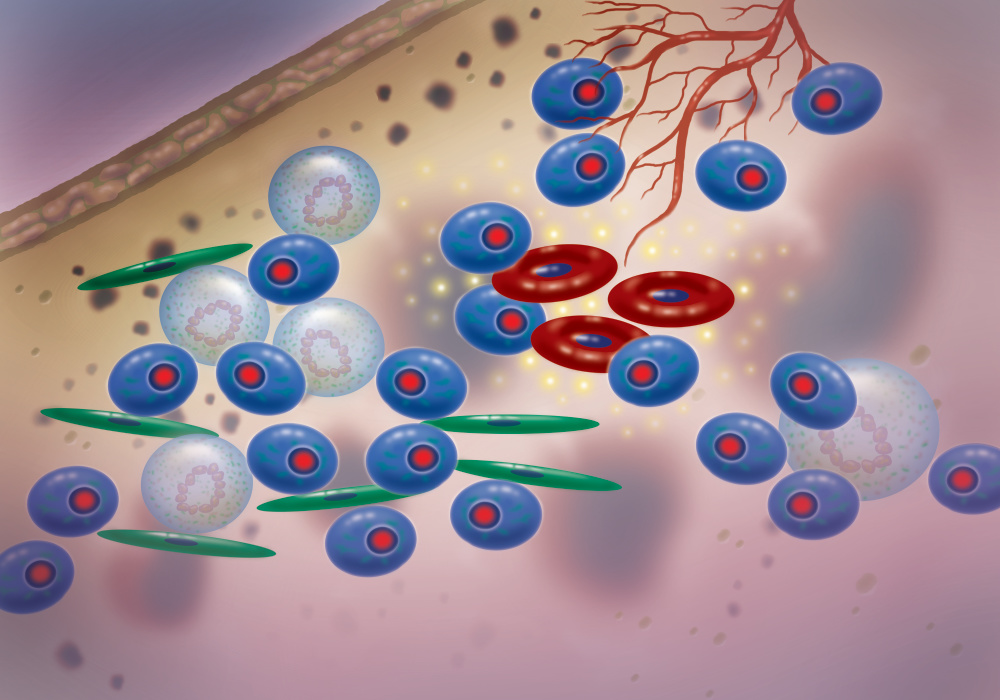 آزمایشگاه چکاپ