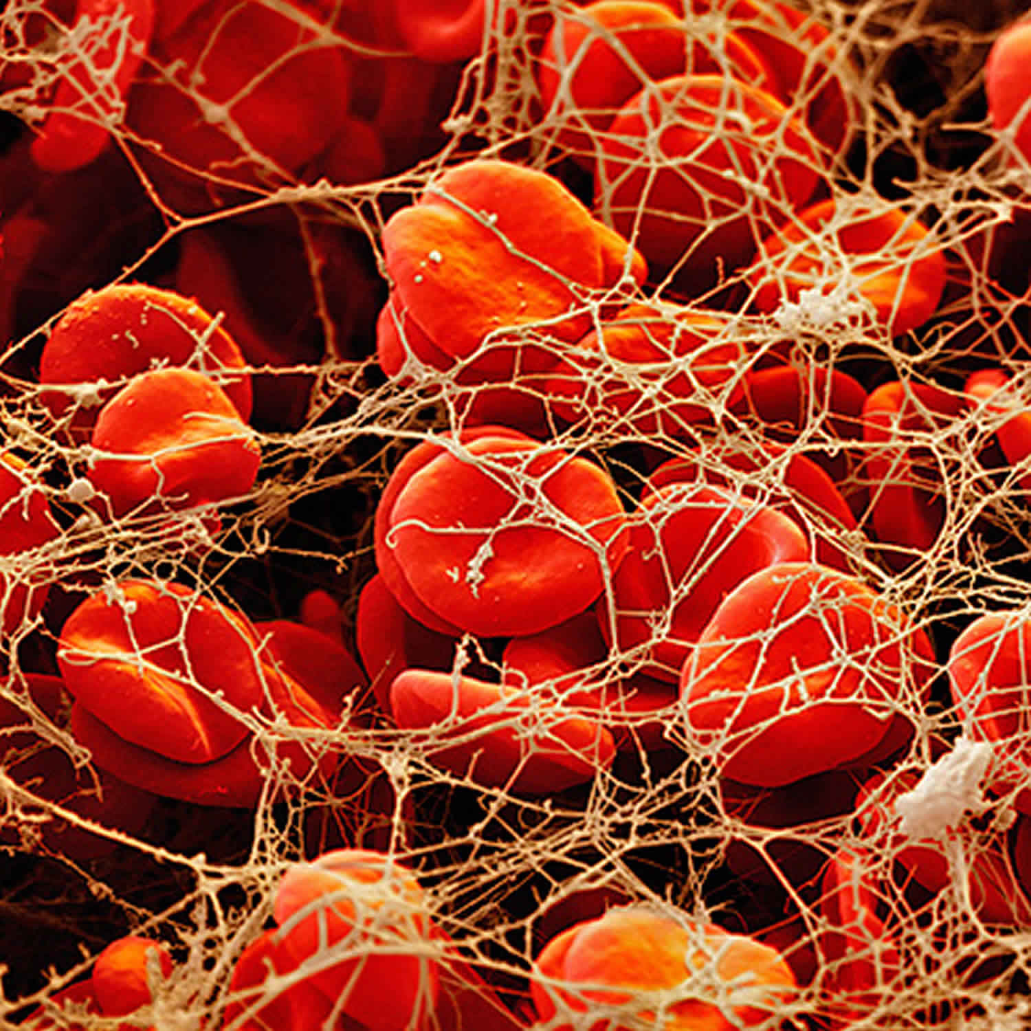 آزمایشگاه چکاپ 20 آزمایشگاه چکاپ