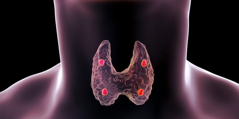 shutterstock_1288216879