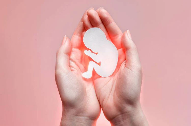 آزمایشگاه چکاپ