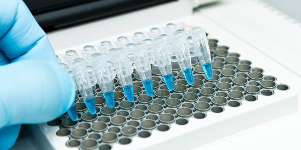 360_F_297083244_6ZXeqRizvIeZqduo23fuiBLiHkMgeQYb