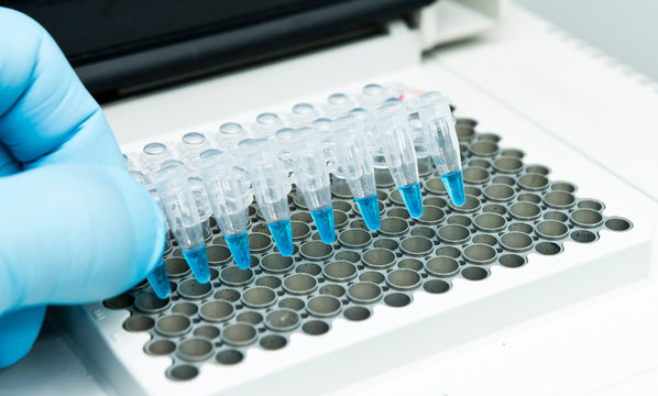 360_F_297083244_6ZXeqRizvIeZqduo23fuiBLiHkMgeQYb