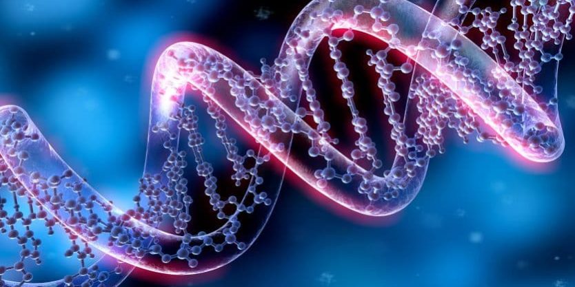 AdobeStock_61522862-e1522853088692-835×486