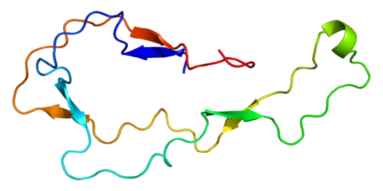 Protein_CALR_PDB_1hhn
