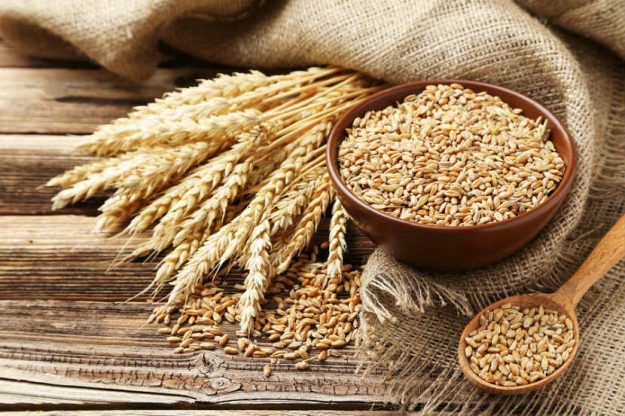 Facts-on-wheat-allergies-resized