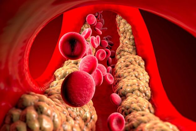 xr:d:DAF8NNhORmQ:8,j:6377517102175478724,t:24022719