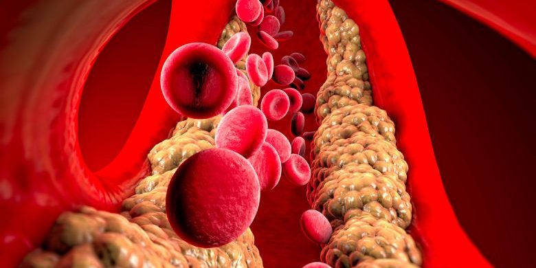 xr:d:DAF8NNhORmQ:8,j:6377517102175478724,t:24022719