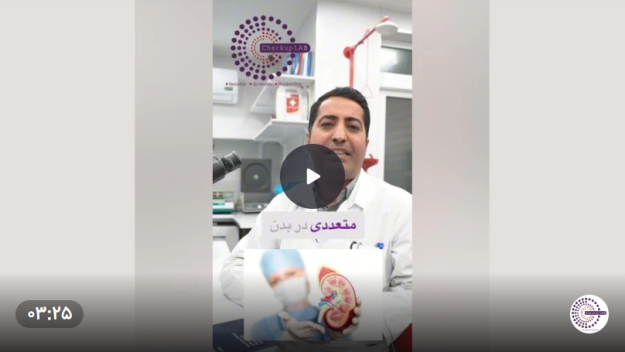 Screenshot 2024-11-10 092016