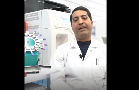 Screenshot 2024-11-20 152912