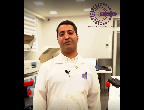 Screenshot 2024-11-20 153245