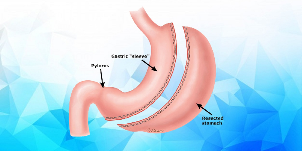 image_2024-07-08_054602742