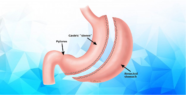 image_2024-07-08_054602742