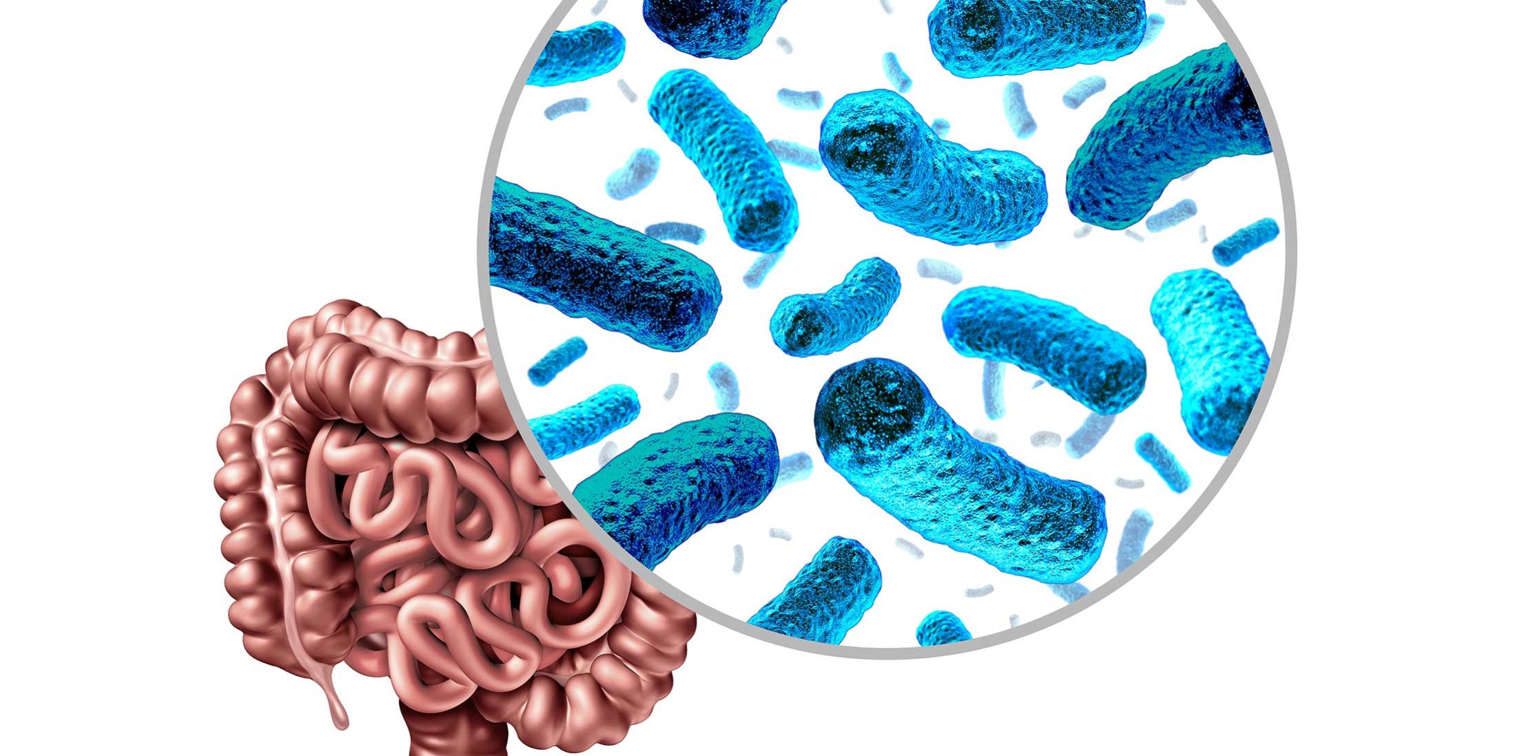 gut_microbiota_microbes
