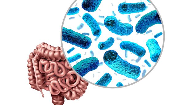 gut_microbiota_microbes