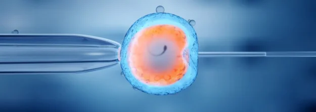 IVF-process-1400×500.jpeg