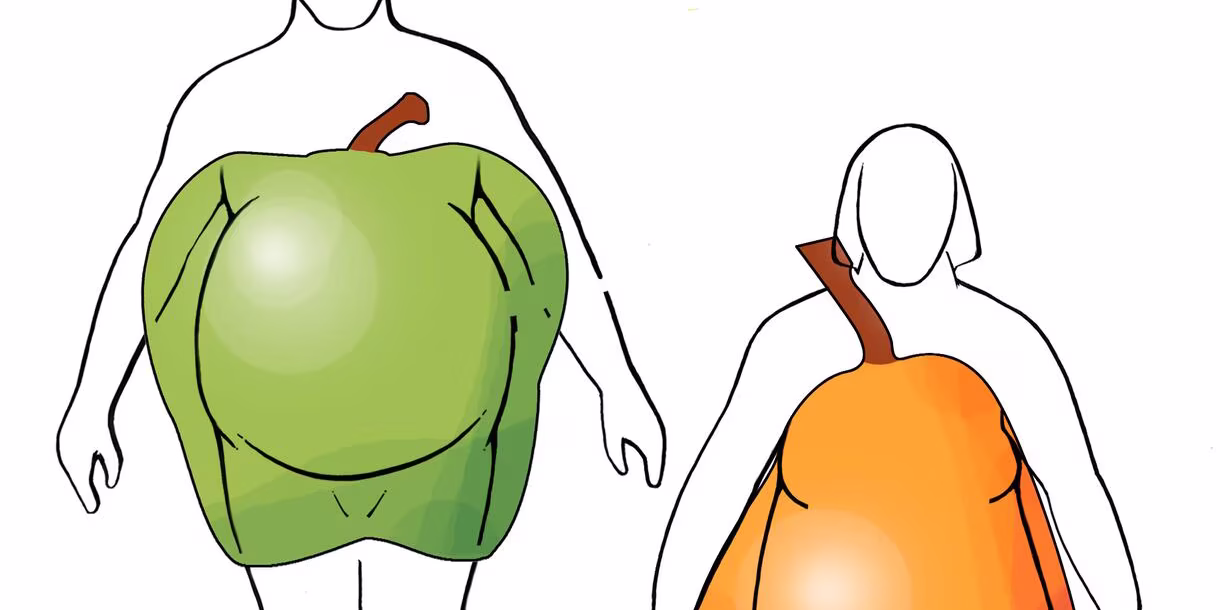 apple-and-pear-body-shapes