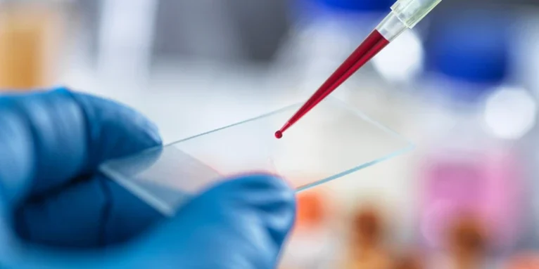 d41586-025-03299-8_51546950 (1)