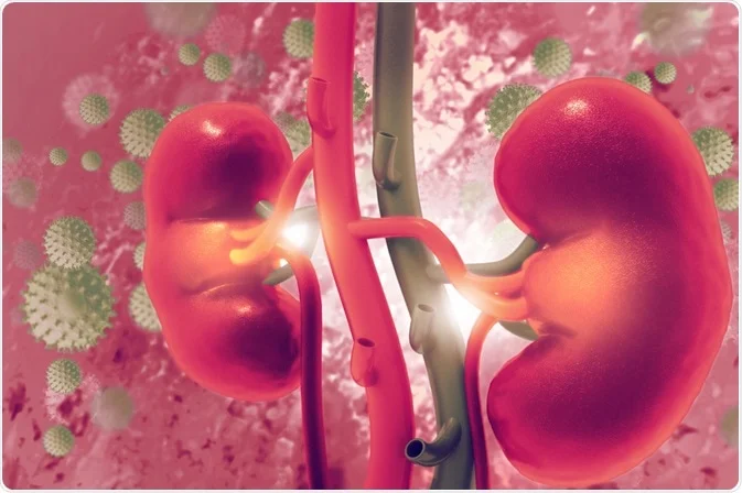 آزمایشگاه چکاپ 10 آزمایشگاه چکاپ