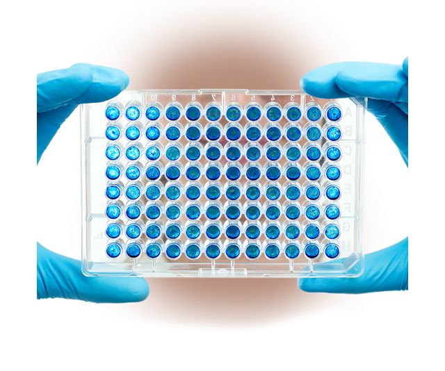 آزمایشگاه چکاپ 7 آزمایشگاه چکاپ