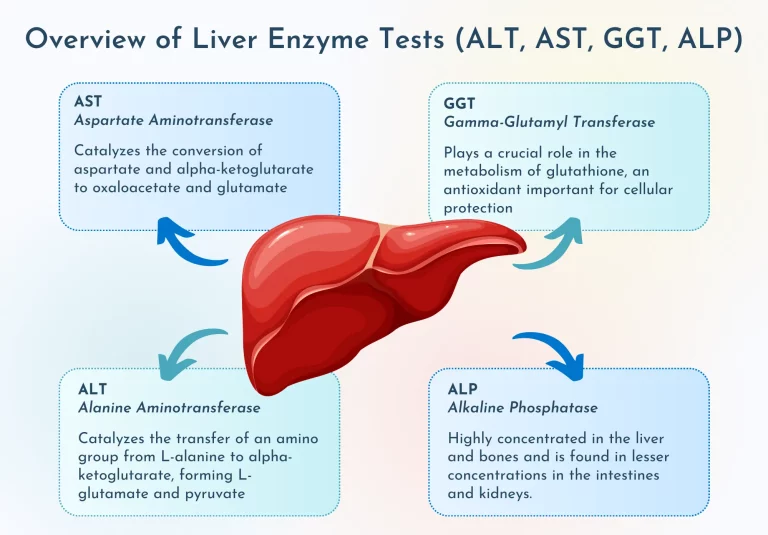 آزمایشگاه چکاپ